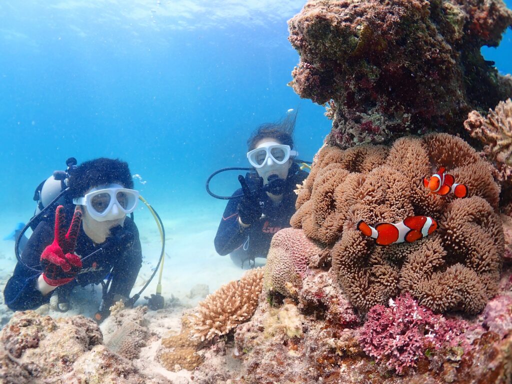 石垣島 体験ダイビング ダイビング