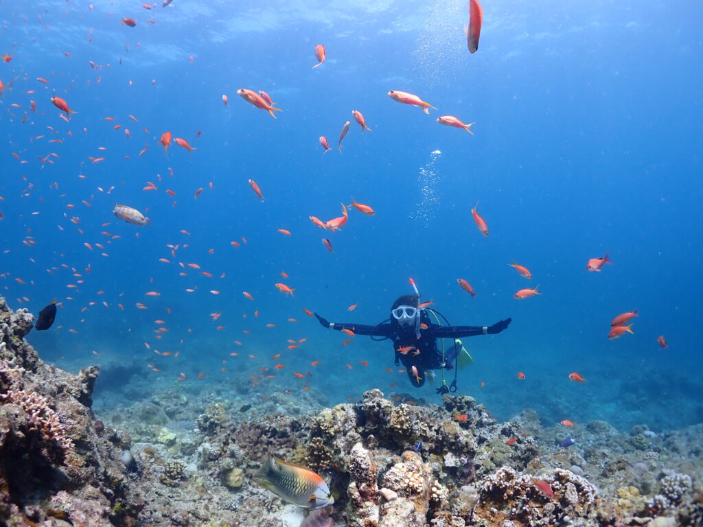 石垣島　ファンダイビング　ダイビング